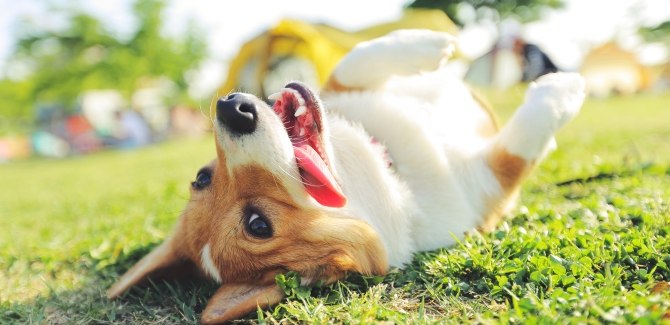 holistyczne leczenie hot spotów